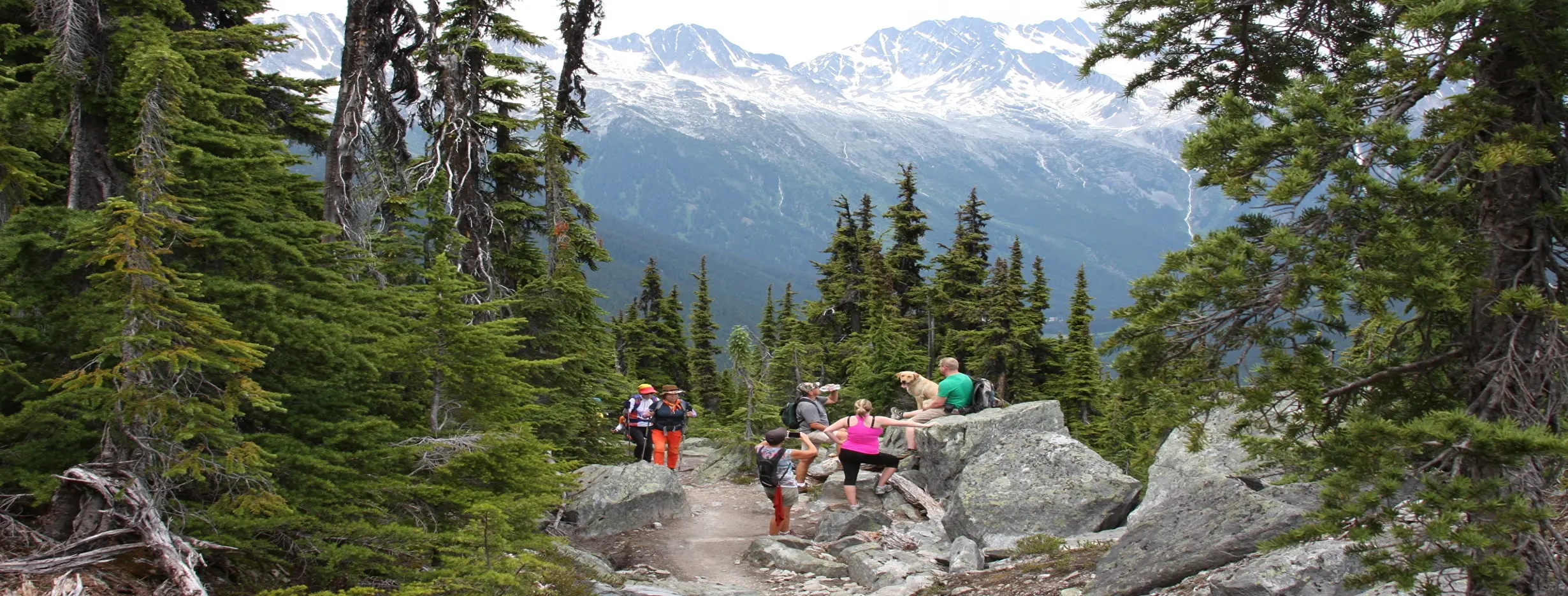Image for Summit of Cathedral Rock